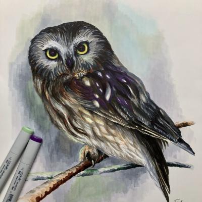 Sägekauz / 2020 / Copic Sketch Art / 40x30 cm