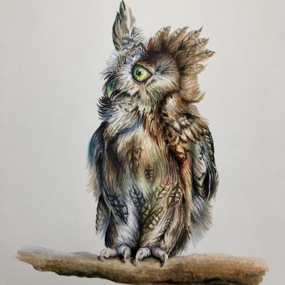 Junge Ost Kreischeule / 2021 / Copic Sketch Art / 40x30 cm