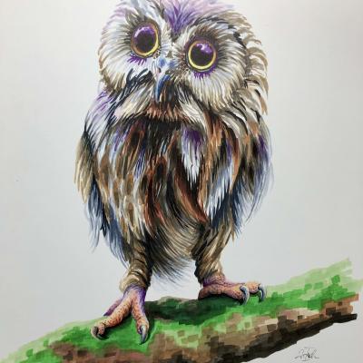 Zwergohreule / 2023 / Copic Sketch Art / 40x30 cm