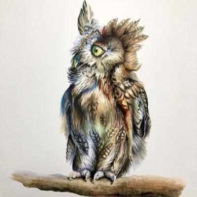 Junge Ostkreischeule (Copic Sketch Art)