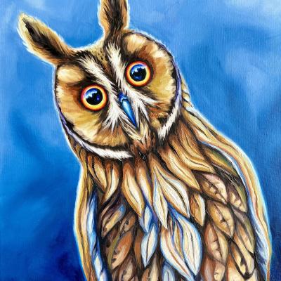 'Schräger Kauz' / 2024 / Oel / 50 x 40 cm